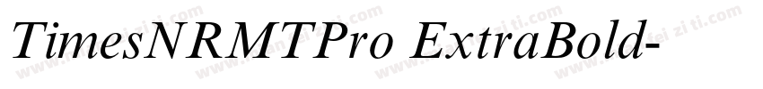 TimesNRMTPro ExtraBold字体转换